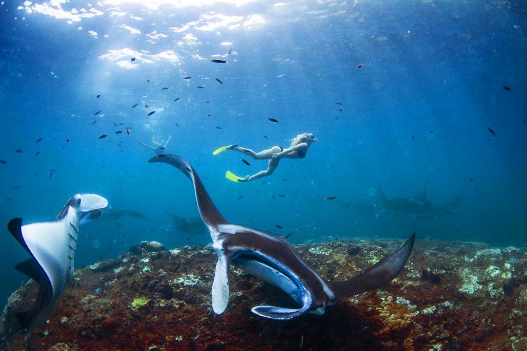 Snorkeling